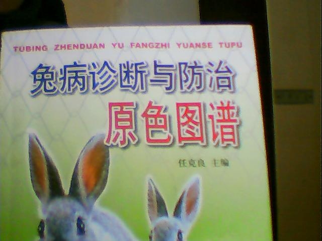    ֡ 204452uythghvq3gmmmjpz