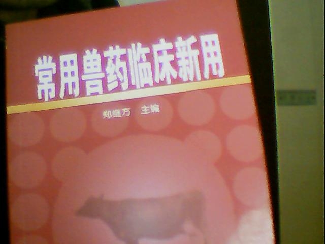    ֡ 204519yr4zxh11idaaa8uh