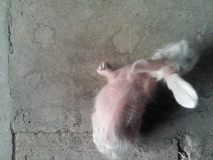    ֡ 120048gxyt6fxo1uh11g6h