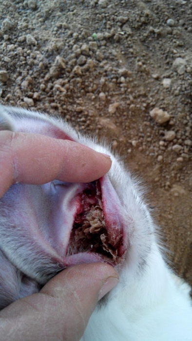 QQͼƬ20140301195429.jpg