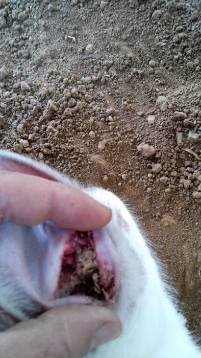 QQͼƬ20140301195435.jpg
